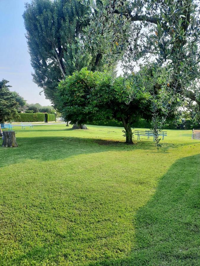 Апартаменты Residenza Palmira Bardolino Calmasino Экстерьер фото