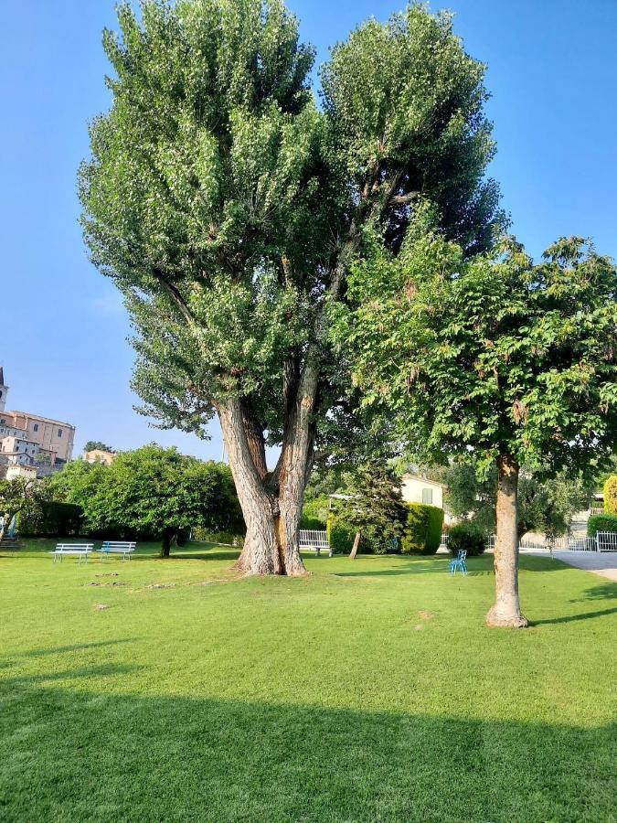 Апартаменты Residenza Palmira Bardolino Calmasino Экстерьер фото